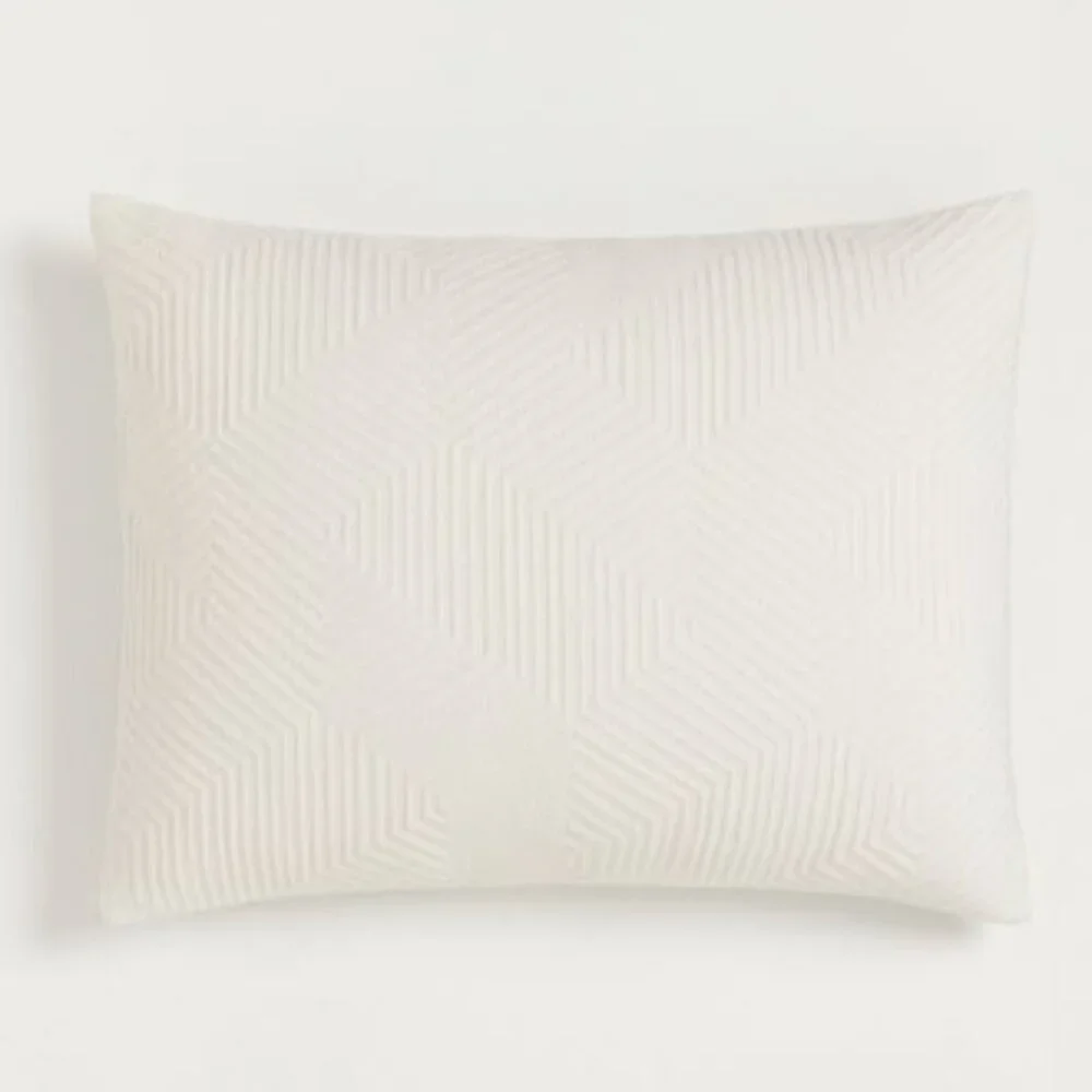 West Elm Ivory Geometric Pillows